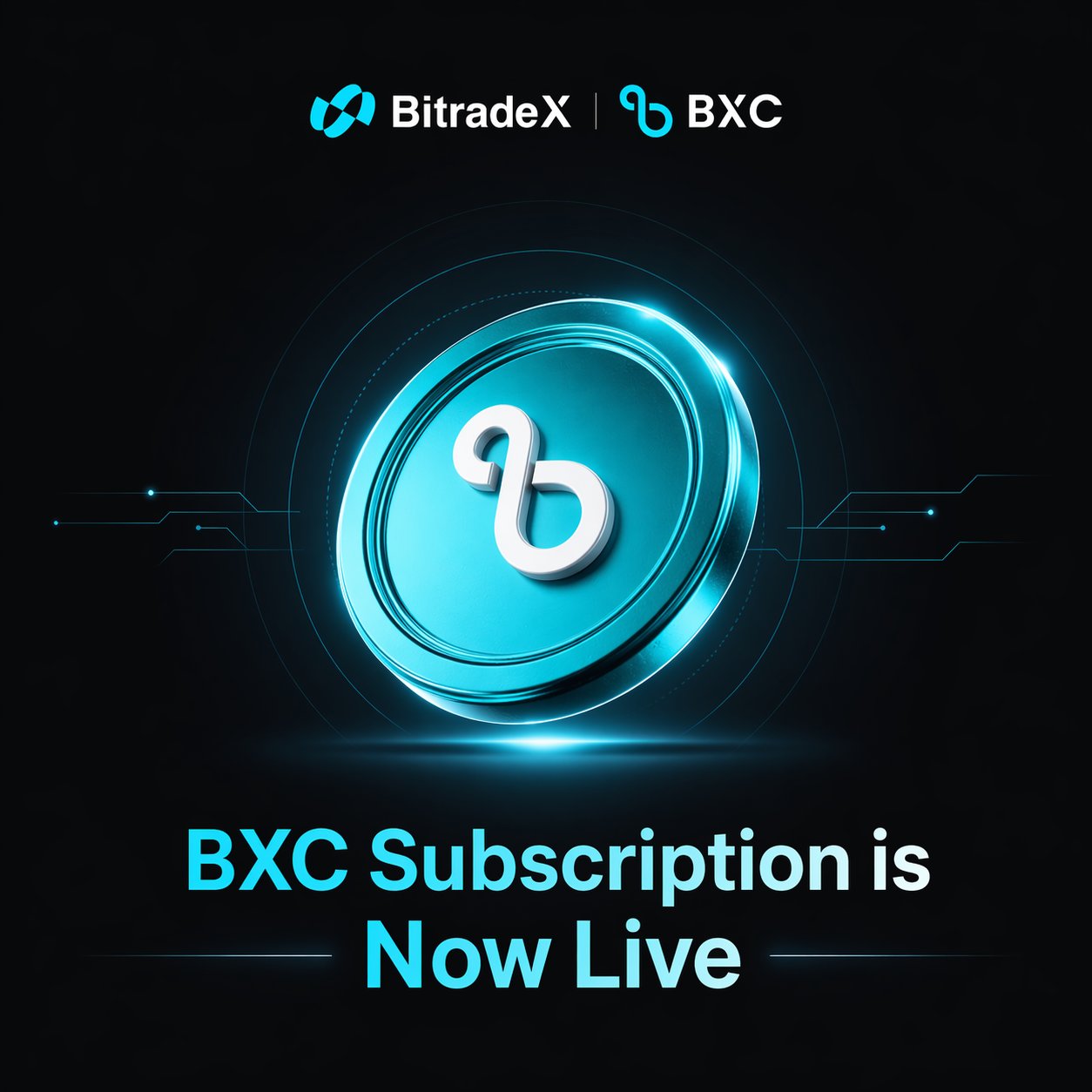 BitradeX Capital